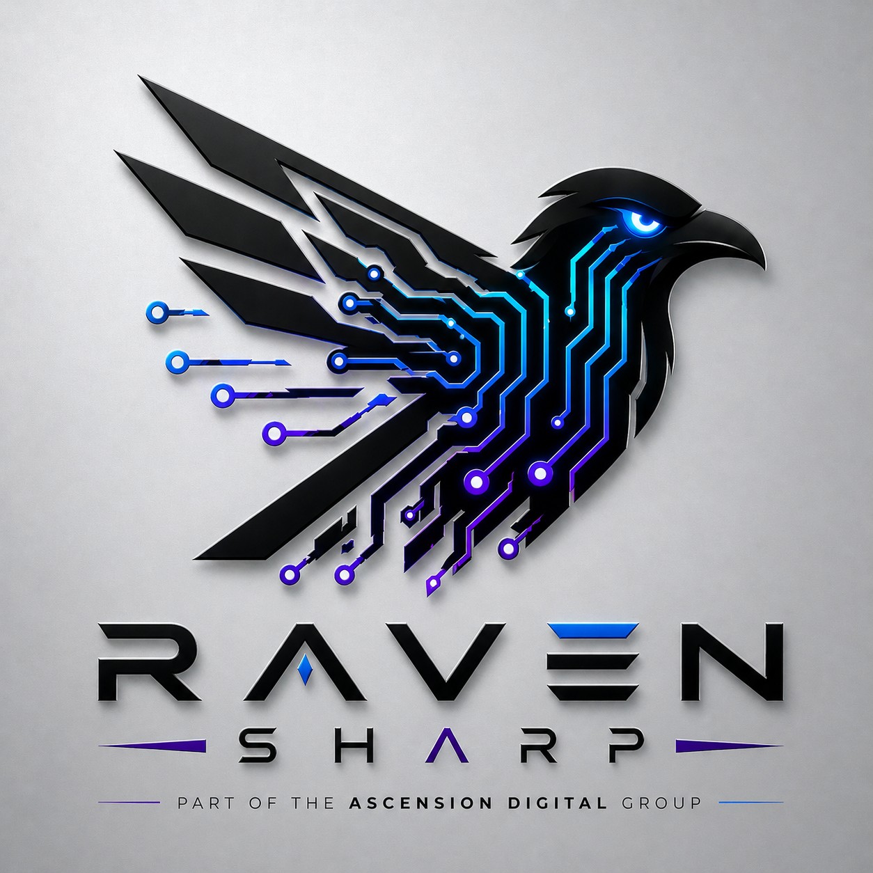 Raven Sharp Image Optimiser logo